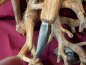 Preview: Damastmesser 5032D